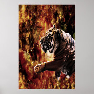 Póster Galaxia Tiger