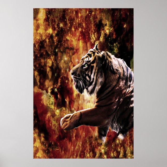 Póster Galaxia Tiger (Frente)