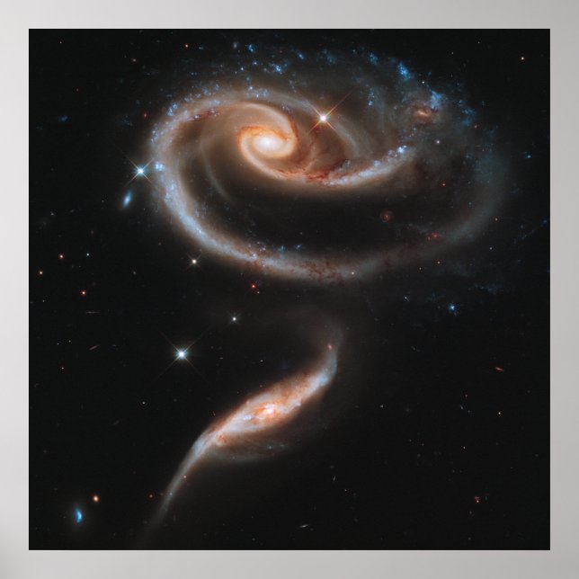 Póster Galaxias espirales en forma de rosa (Frente)