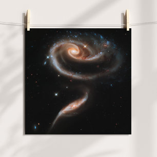 Póster Galaxias espirales en forma de rosa