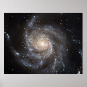 Póster Galaxy M101