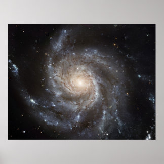 Póster Galaxy M101