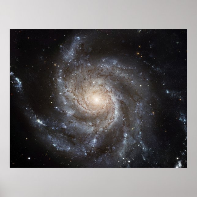 Póster Galaxy M101 (Frente)