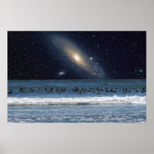 Póster Galaxy Pelicans