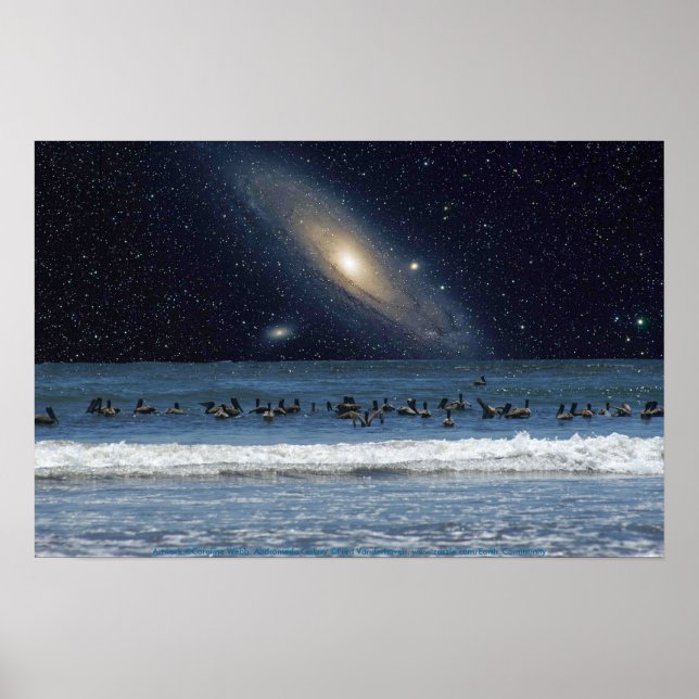 Póster Galaxy Pelicans (Frente)