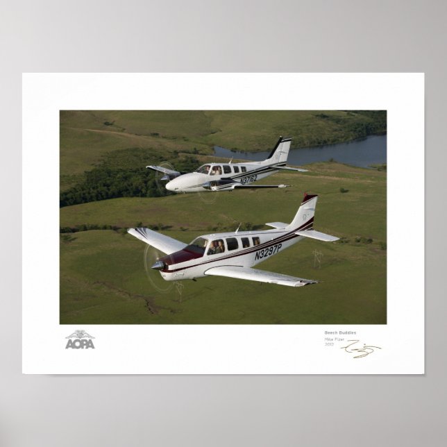 Póster Galería Beech Buddies (Frente)