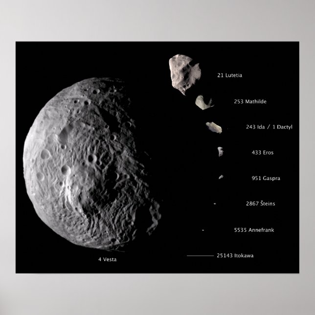 Póster Galería de Vesta y Asteroides (Frente)