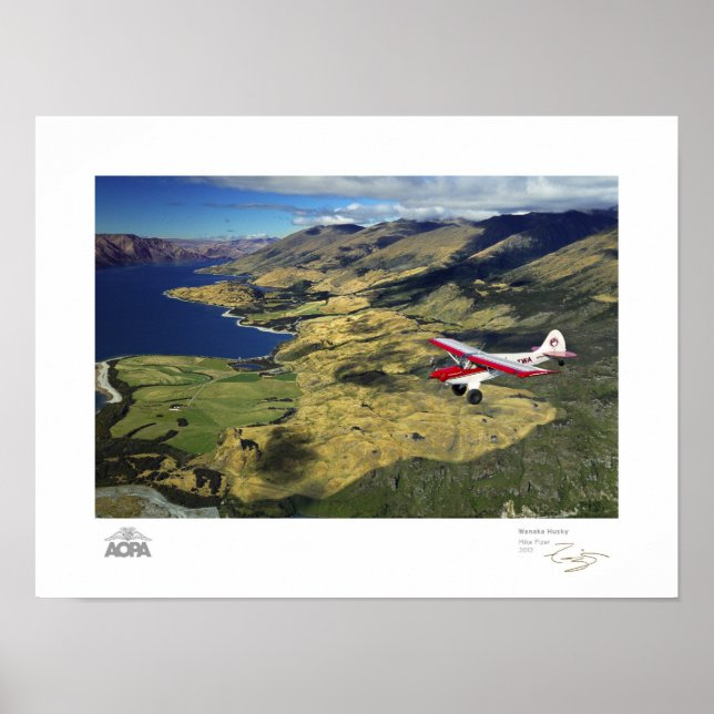 Póster Galería Wanaka Husky (Frente)