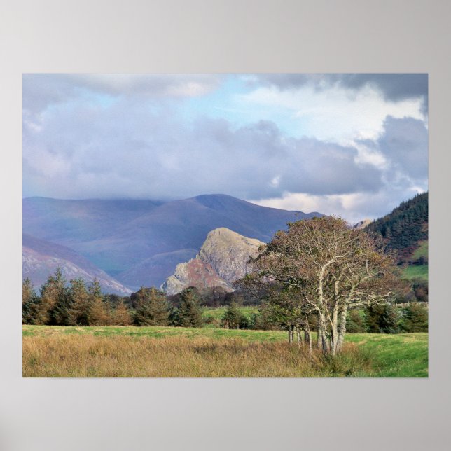 PÓSTER GALES (Frente)