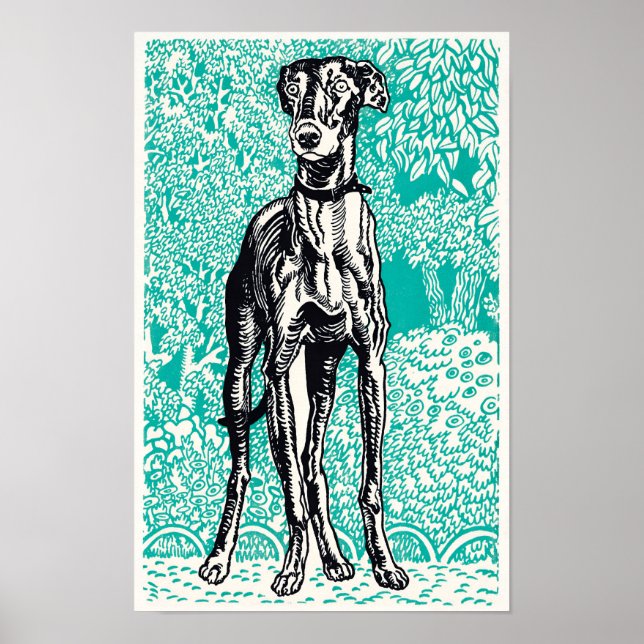 Póster Galgo (1912)  (Frente)