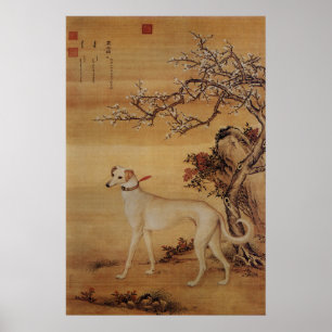 Póster Galgo Blanco Vintage Bajo Flores