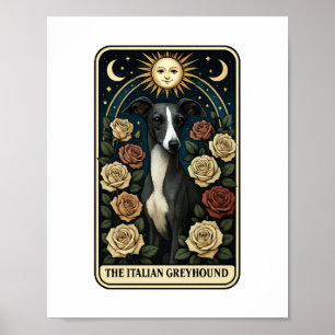 Póster Galgo italiano