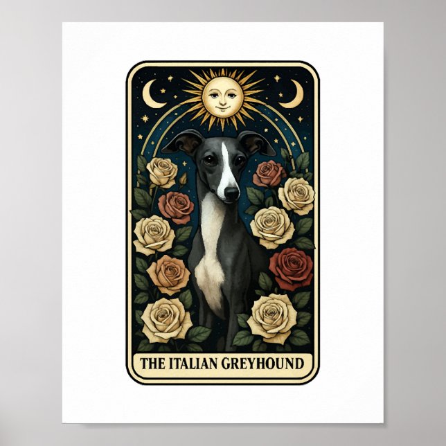 Póster Galgo italiano (Frente)