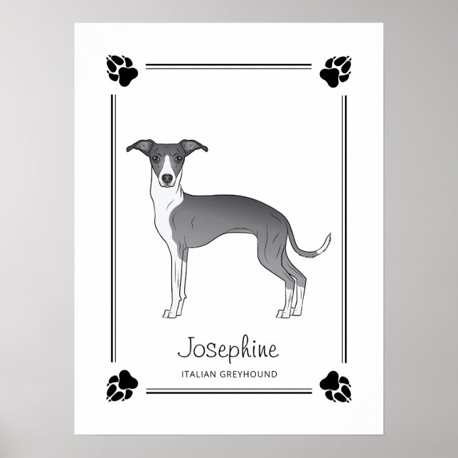 Póster Galgo Italiano Azul Y Blanco Con Patas Y Texto (Frente)