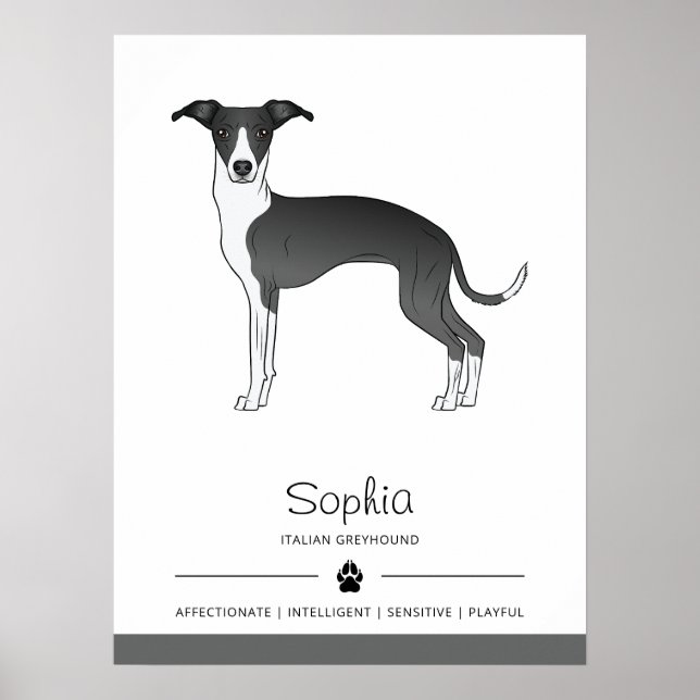 Póster Galgo Italiano Blanco Y Negro Con Texto Personaliz (Frente)