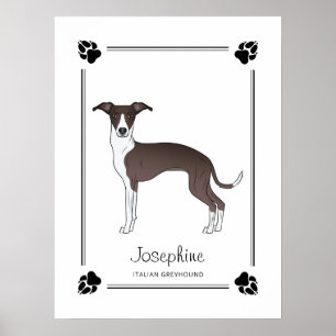 Póster Galgo Italiano Seal y Blanco Con Patas y Texto