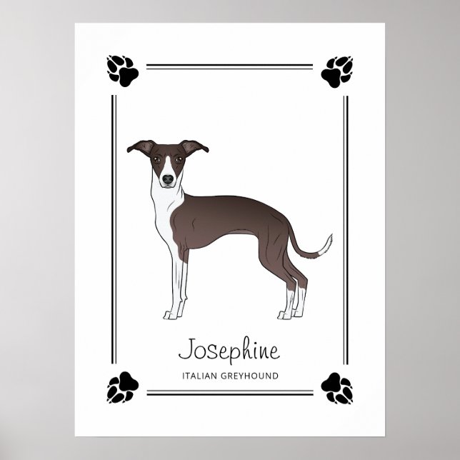 Póster Galgo Italiano Seal y Blanco Con Patas y Texto (Frente)