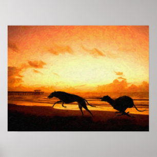 Póster Galgos en la playa