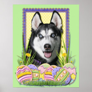 Póster Galletas del huevo de Pascua - husky siberiano