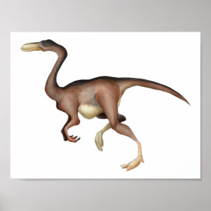 Póster Gallimimus