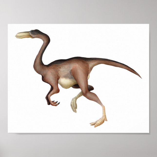 Póster Gallimimus (Frente)