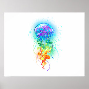 Póster Gallito arcoiris