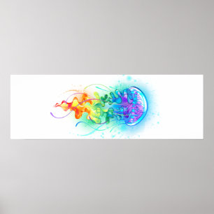 Póster Gallito arcoiris