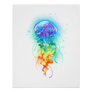 Póster Gallito arcoiris