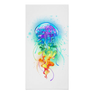 Póster Gallito arcoiris