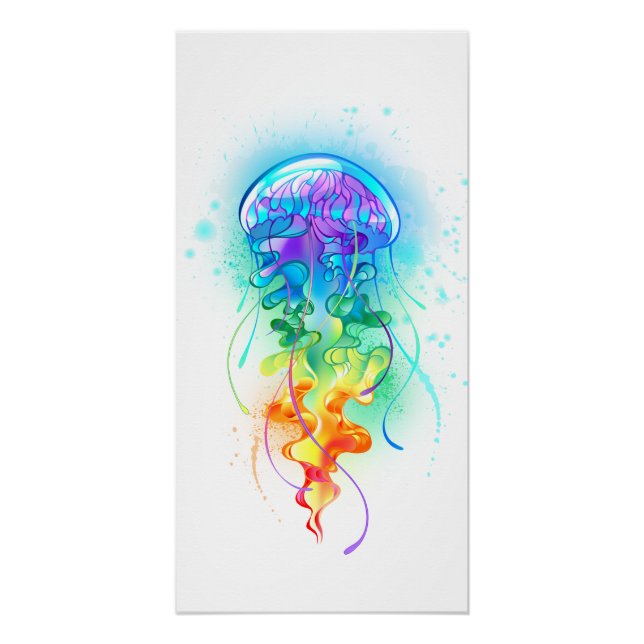 Póster Gallito arcoiris (Anverso)