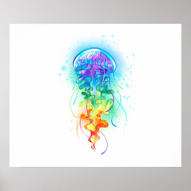 Póster Gallito arcoiris (Frente)