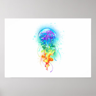 Póster Gallito arcoiris