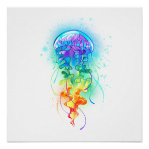 Póster Gallito arcoiris
