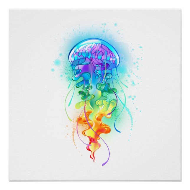 Póster Gallito arcoiris (Anverso)