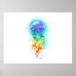 Póster Gallito arcoiris