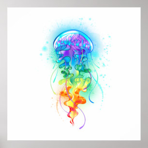 Póster Gallito arcoiris