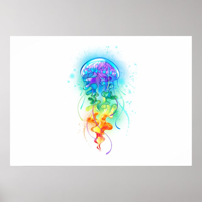 Póster Gallito arcoiris (Frente)