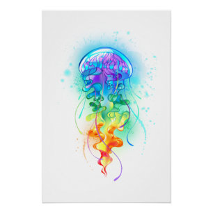 Póster Gallito arcoiris