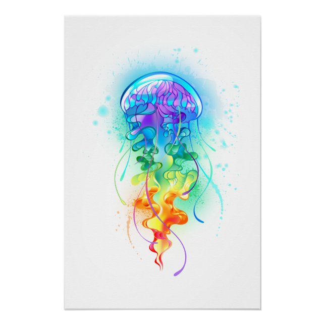 Póster Gallito arcoiris (Anverso)