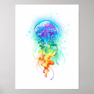 Póster Gallito arcoiris