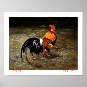 Póster Gallo