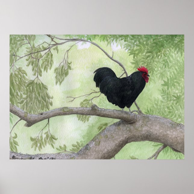 Póster Gallo Cogburn (Frente)