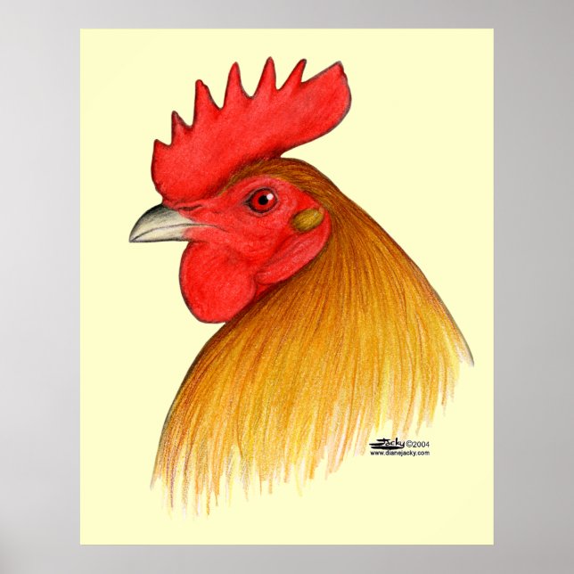 Póster Gallo de pelea de cresta sencilla (Frente)