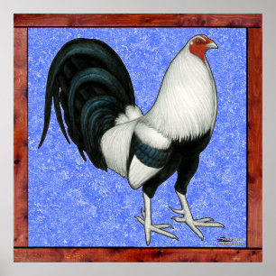 Póster Gallo de pelea enmarcado