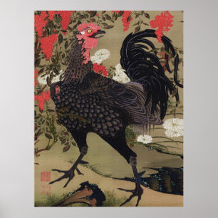Póster Gallo negro y Nandin de Ito Jakuchu
