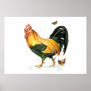 Póster Gallo orgulloso con la gallina y los pollos
