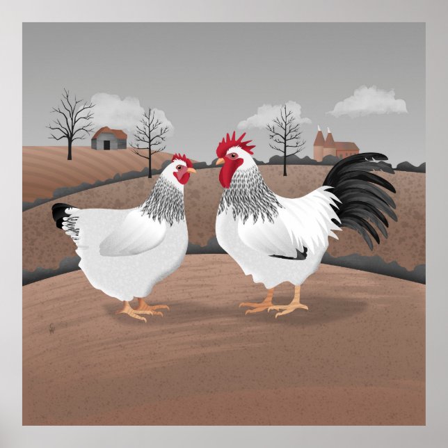 Póster Gallo y gallina (Frente)
