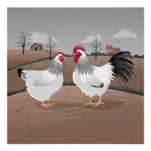 Póster Gallo y gallina