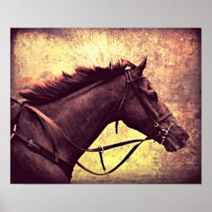 Póster Gallop Grunge