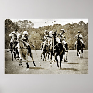 Póster Gallopaje de caballos de Polo